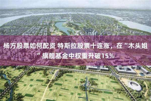 杨方股票如何配资 特斯拉股票十连涨，在“木头姐”旗舰基金中权重升破15%