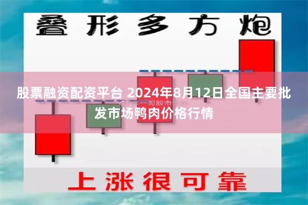股票融资配资平台 2024年8月12日全国主要批发市场鸭肉价格行情