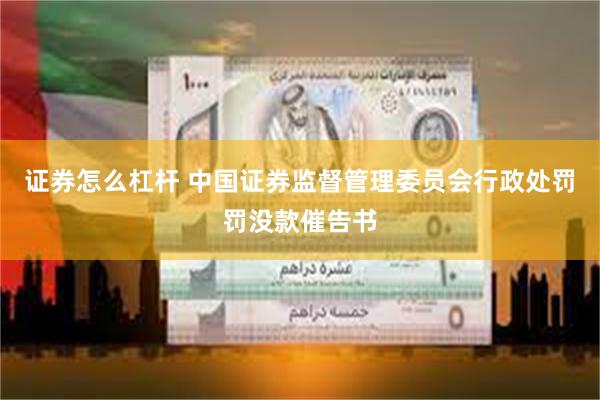 证券怎么杠杆 中国证券监督管理委员会行政处罚罚没款催告书