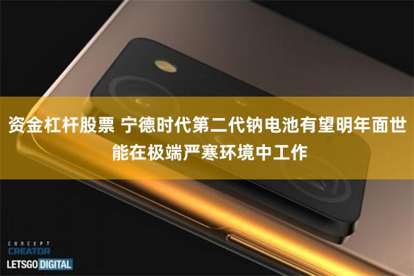 资金杠杆股票 宁德时代第二代钠电池有望明年面世 能在极端严寒环境中工作