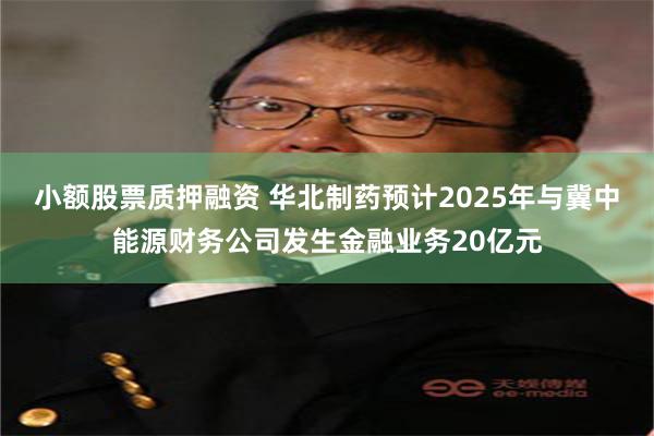 小额股票质押融资 华北制药预计2025年与冀中能源财务公司发生金融业务20亿元