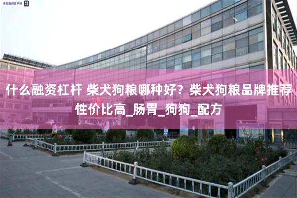 什么融资杠杆 柴犬狗粮哪种好？柴犬狗粮品牌推荐性价比高_肠胃_狗狗_配方