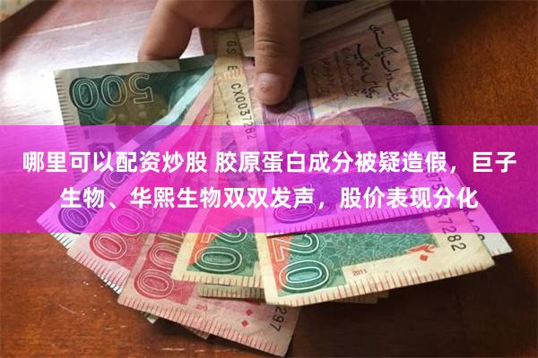 哪里可以配资炒股 胶原蛋白成分被疑造假，巨子生物、华熙生物双双发声，股价表现分化