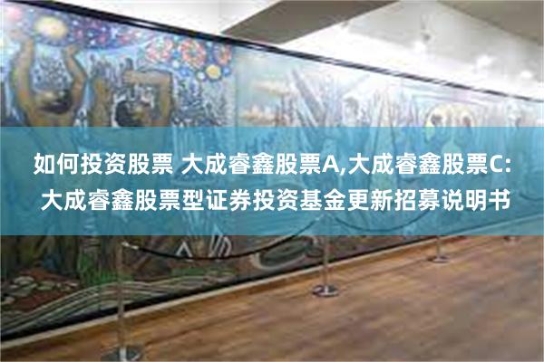 如何投资股票 大成睿鑫股票A,大成睿鑫股票C: 大成睿鑫股票型证券投资基金更新招募说明书
